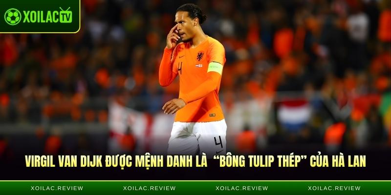 Virgil Van Dijk được mệnh danh là  “Bông Tulip Thép” của Hà Lan